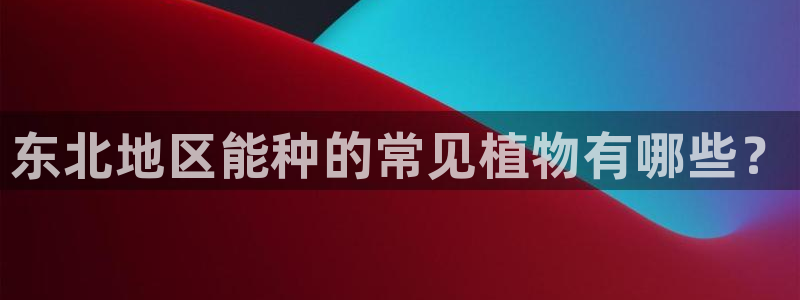芜湖摩根一百有哪些娱乐
