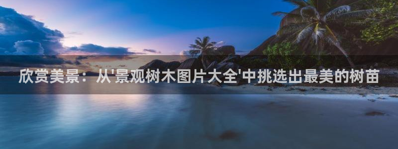 义务摩根娱乐会所电话