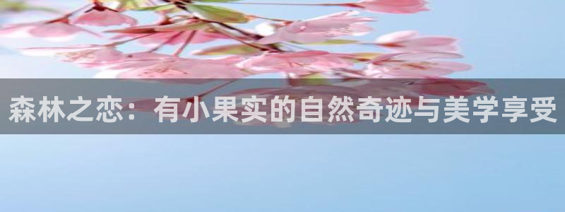 摩根娱乐宝邀请码