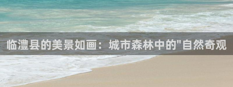 摩根娱乐公会创始人