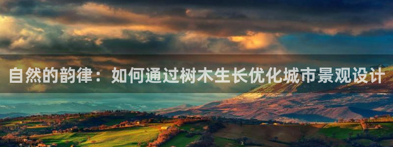 摩根娱乐宝怎么盈利