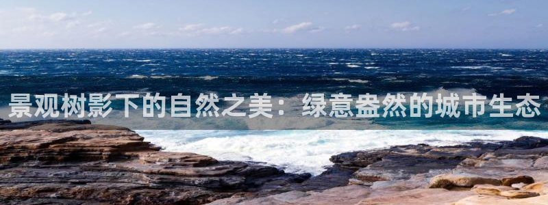 摩根国际娱乐宝在哪里