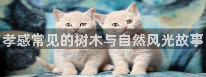 摩根国际商务娱乐会所
