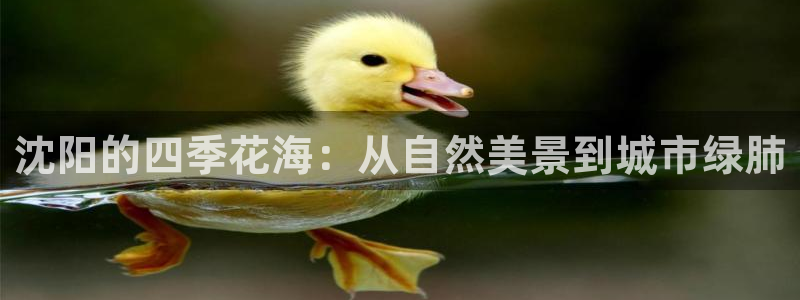 摩根娱乐宝是骗局