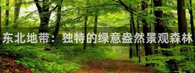 摩根 娱乐宝骗了我