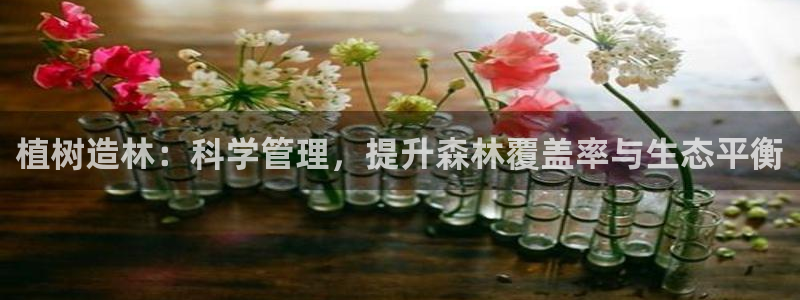 摩根娱乐云挂机项目