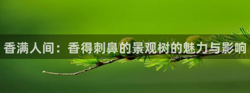 摩根娱乐宝平台