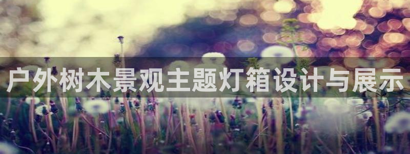 下载摩根国际娱乐宝