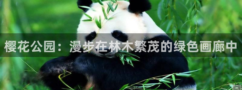 摩根国际娱乐宝书籍