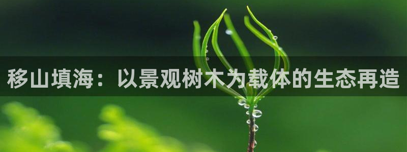 主角是摩根家族的娱乐文