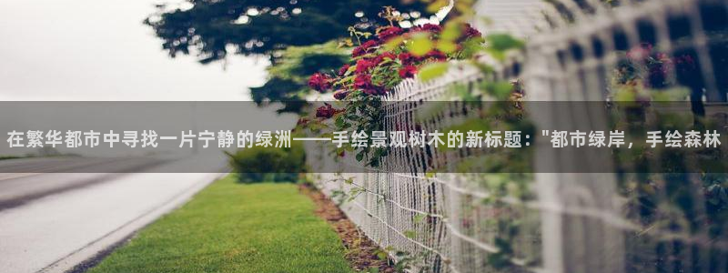 摩根娱乐外汇