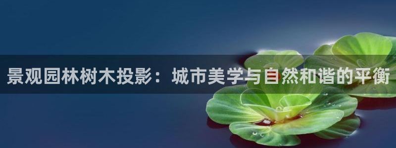 义乌摩根娱乐会所老板