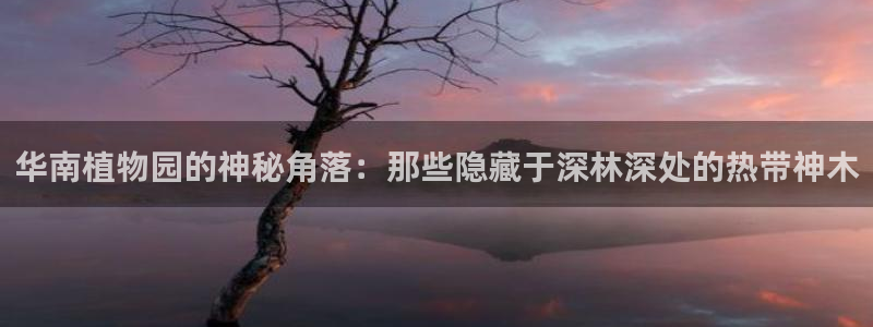 摩根娱乐首页