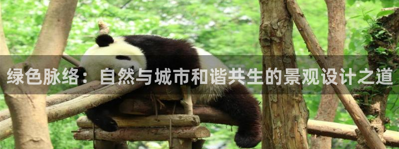 摩根士丹利娱乐：绿色脉络：自然与城市和谐共生的景观设计之道