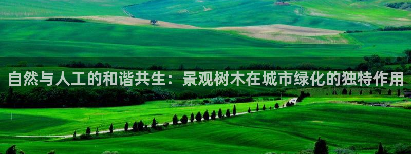 泉州摩根会娱乐有限责任公司管理