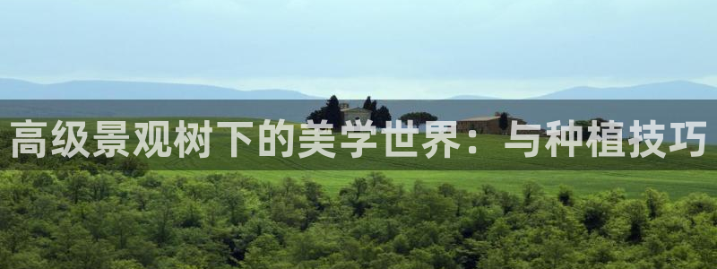 摩根娱乐宝教程