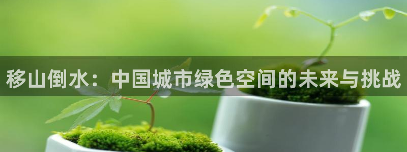 白宫摩根会娱乐有限公司