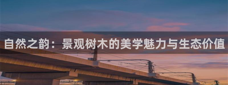 摩根娱乐开户 总s管50015