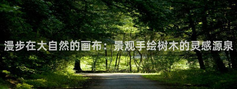 白宫摩根娱乐会所