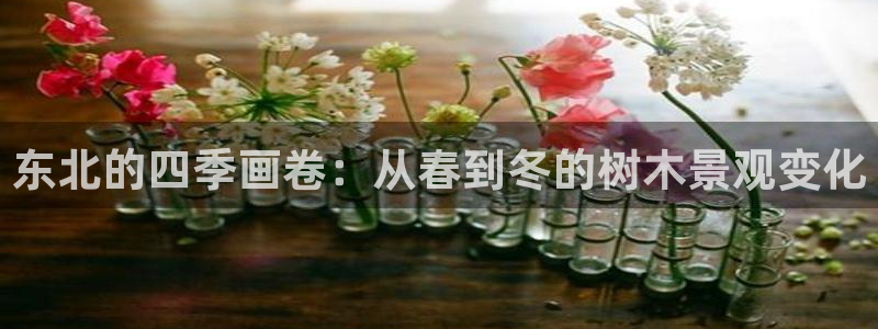 嘉兴摩根大饭店 娱乐
