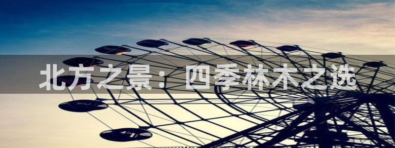 摩根娱乐宝吧