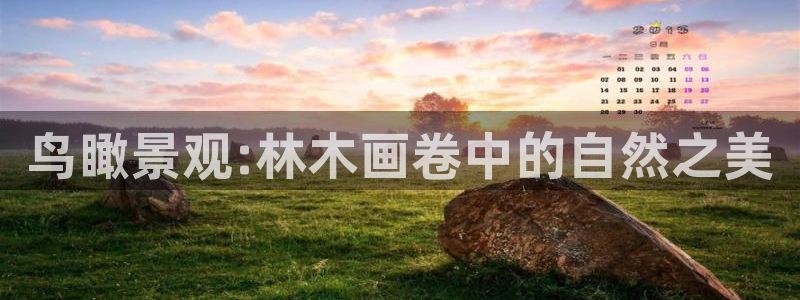 武汉摩根众睿娱乐