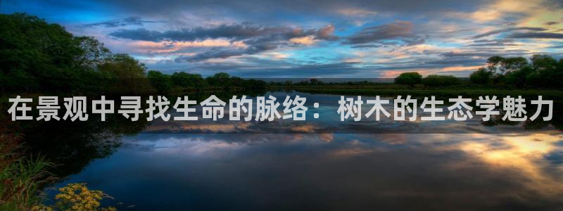 摩根国际娱乐宝书籍：在景观中寻找生命的脉络：树木的生态学魅力