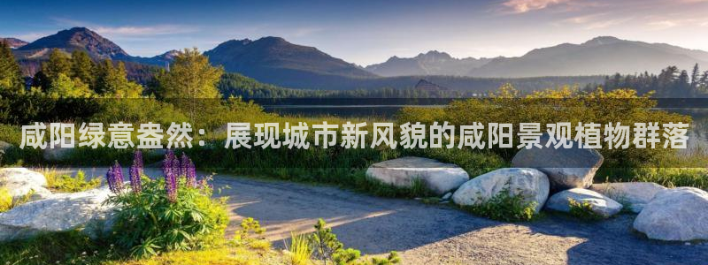 摩根大通投资娱乐公司