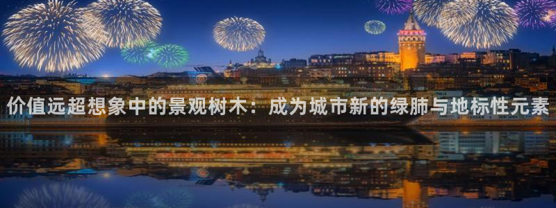 摩根娱乐宝创始人