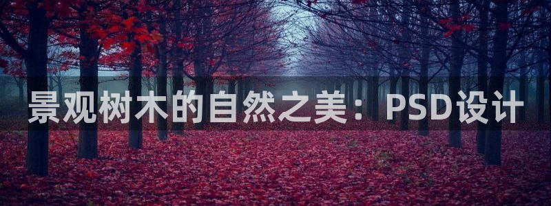 武汉摩根众睿娱乐