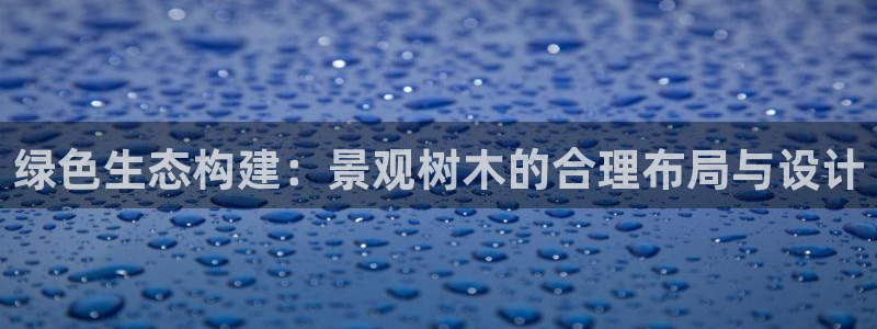 主角是摩根家族的娱乐文