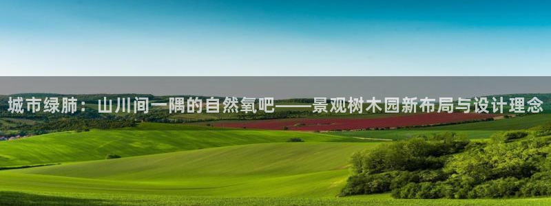 摩根娱乐↑总s管50015