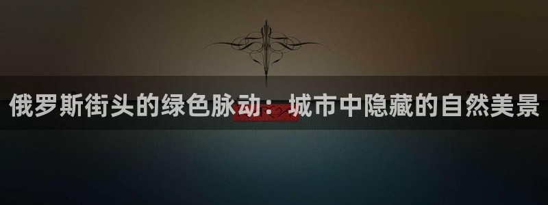 义乌摩根娱乐有限公司