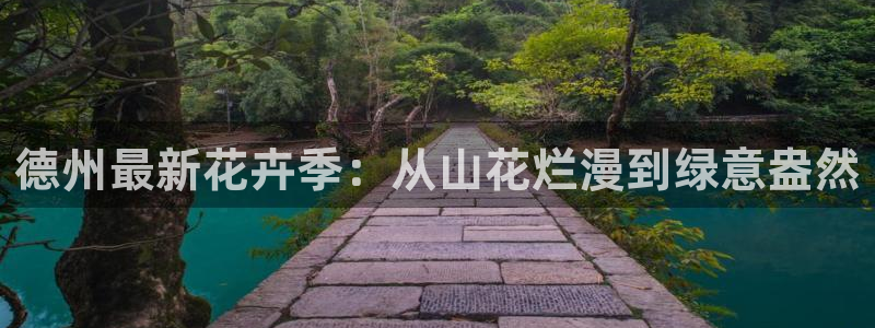 摩根娱乐宝是骗人的的吗