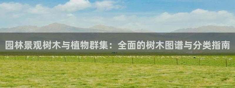 泉州摩根会娱乐保安