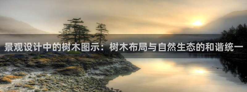 摩根娱乐50186叩