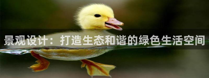 摩根娱乐宝机怎么玩