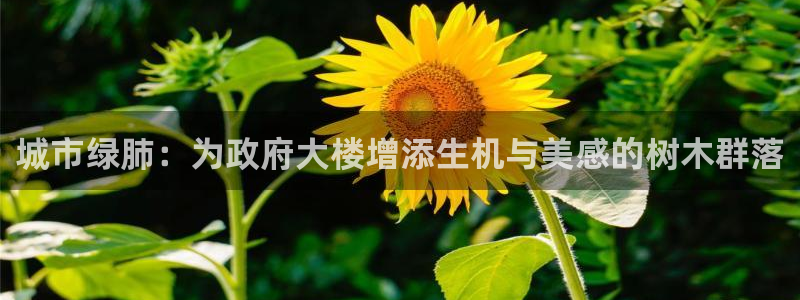 摩根娱乐官网下载