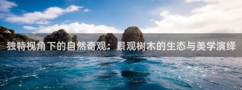 摩根娱乐 总s管50015
