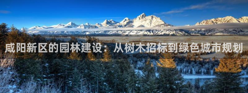 摩根娱乐宝