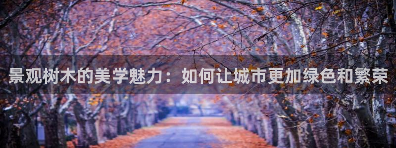 义乌市摩根娱乐会所