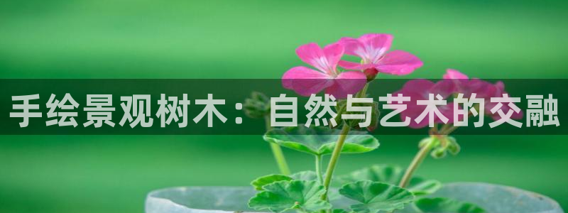 摩根娱乐宝官网百度