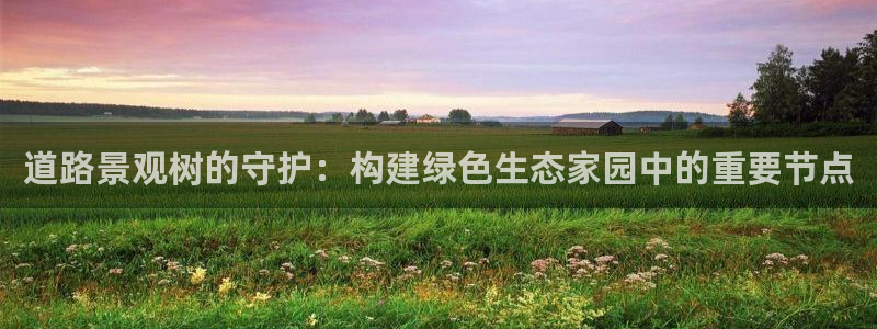 首页摩根娱乐平台