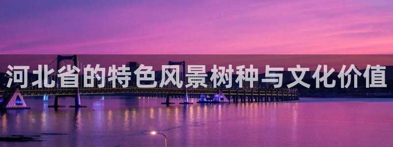 摩根娱乐彩票最忌三种东西