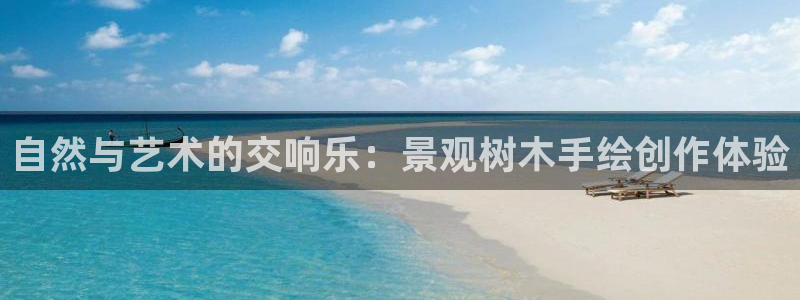 摩根大通黄金娱乐