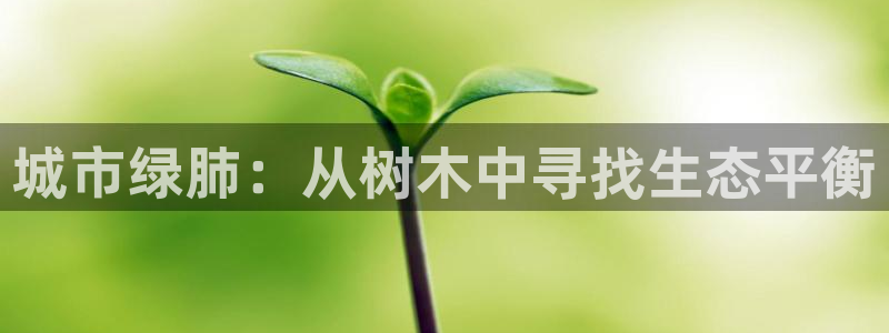 昆明滇池路摩根道娱乐