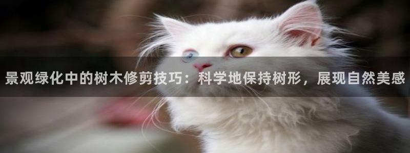 义务摩根娱乐会所电话