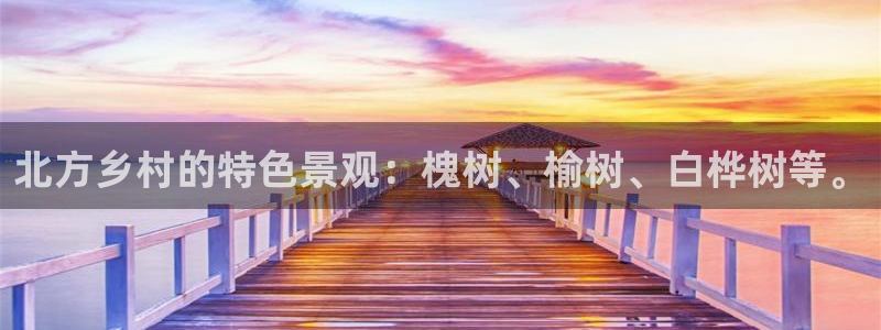 摩根娱乐文化有限公司