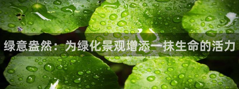 义乌摩根娱乐会所图片