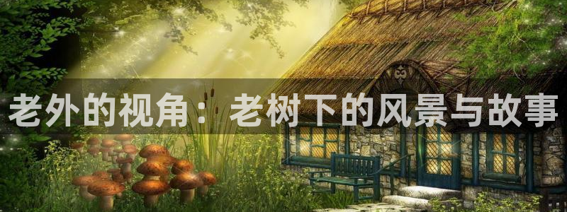 摩根娱乐是什么意思